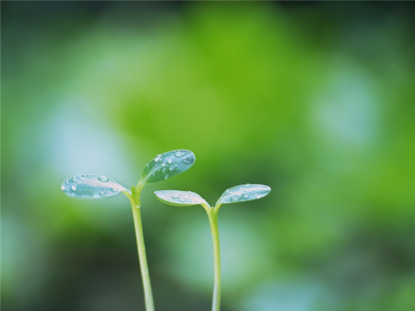 背上长痘的原因_为何背上长痘痘